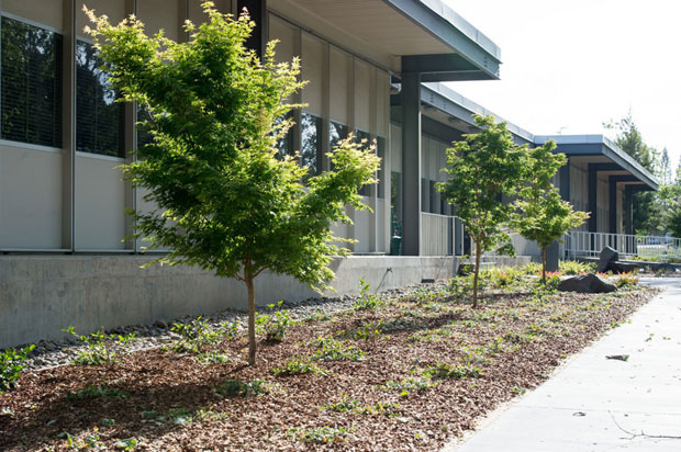 Environmental Report LLNL won an NNSA Sustainability Award in FY 2015 for its water conservation plan. The plan includes reducing patches of turf and re-landscaping with water-wise plants to maintain an aesthetically pleasing appearance while using less water. cover.