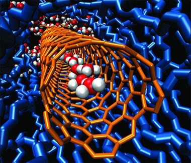 Carbon nanotubes can transport protons much faster than other available mechanisms.