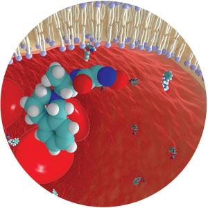 Illustration of the newly developed LLNL-02 nerve-agent antidote penetrating the blood–brain barrier